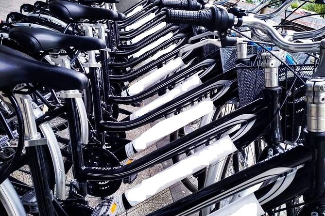 Private Bike Tour in San Sebastián With Pintxo and Drink - The Sum Up