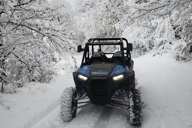 Private Buggy Experience All Seasons in Pamporovo - Customer Reviews