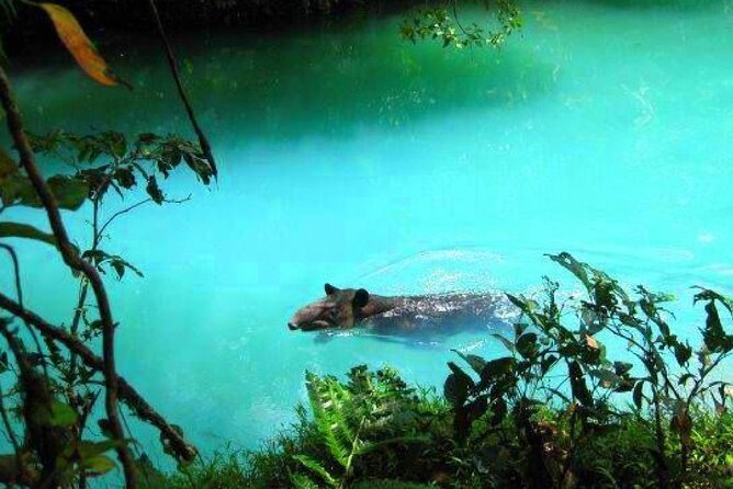 Private Full Day Celeste River Hiking Experience With Lunch - Itinerary Highlights