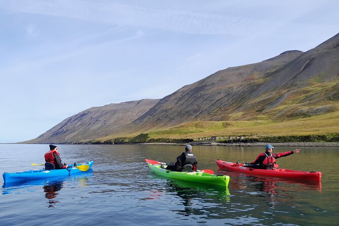 Private: Guided Kayak Tour in Siglufjörður / Siglufjordur. - What To Expect