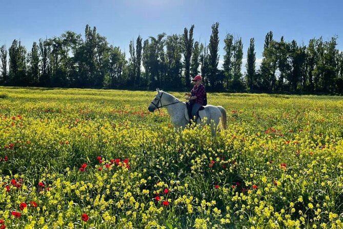Private Horse Ridding Tour - Directions