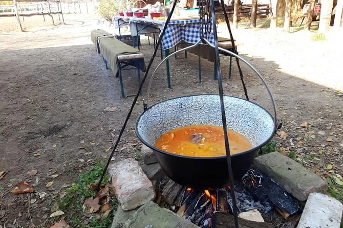 Private Horse Riding Near Budapest With Lunch and Transport - The Sum Up