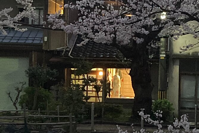 Private Kimono Stroll in Toyama City Possibly With a Shiba Inu - Accessibility and Cancellation Policy