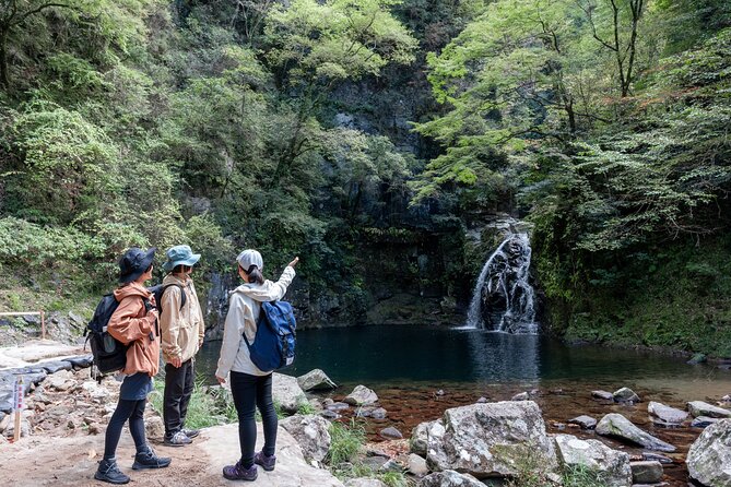 Private Tour of Akame 48 Waterfalls With Bento Making - Cancellation Policy