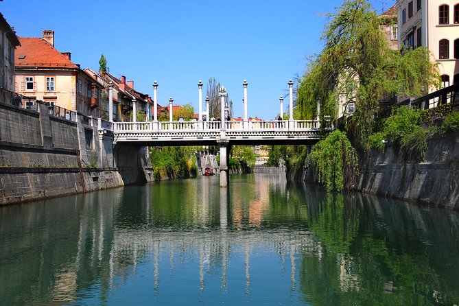 Private Walking Tour of Ljubljana Old Town - Group Size and Pricing