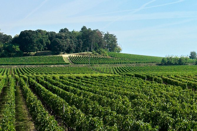 Saint-Emilion Day Trip From Bordeaux With Château Wine Tastings & Lunch - Frequently Asked Questions