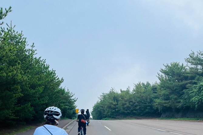 Sakurajima Morning Hill Climb by E-Bike - The Sum Up