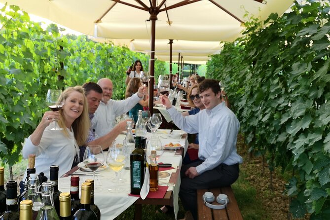 San Gimignano Dinner in the Vine Rows and Wine Tasting - Directions and Meeting Point