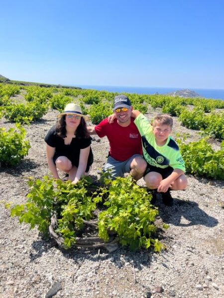 Santorini: Private Wine-Tour Including Entranceσ and Tasting - The Sum Up