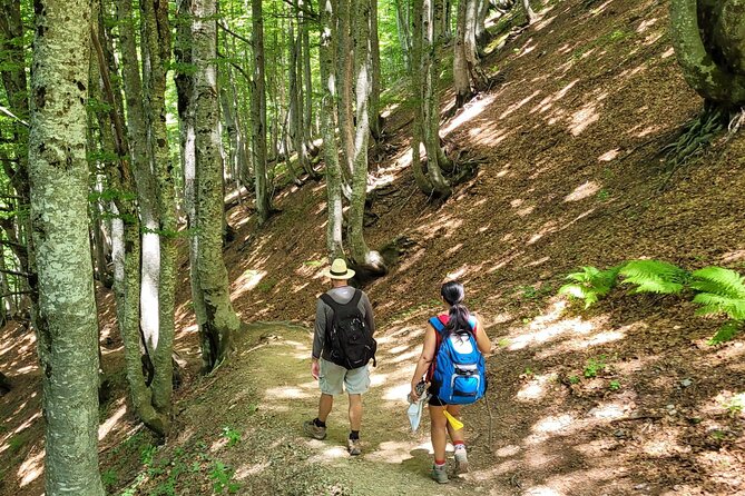 Self-Guided Hiking Tour: Theth, Valbona & Koman Lake in 3 Days - Tour Overview