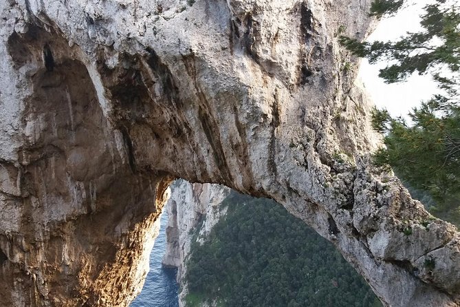 Semi-Guided Capri Tour From Capri Pier - Booking and Contact Details