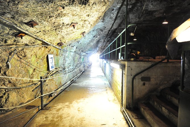 SHORE EXCURSION 3hrs Tunnel Tour - Additional Information