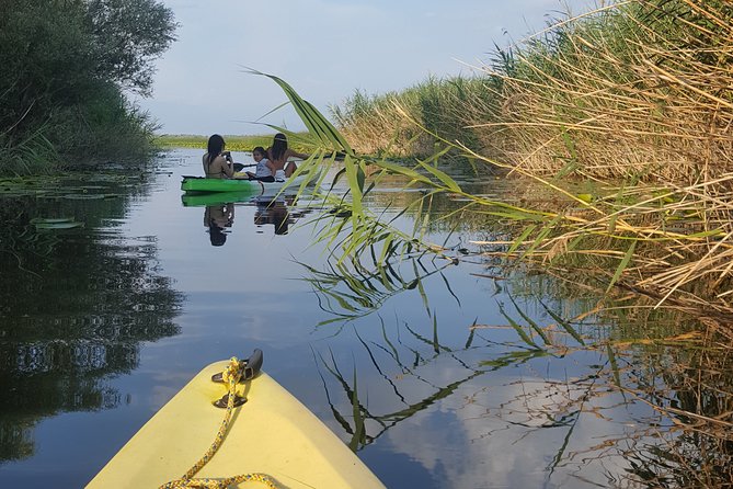 Skadar Lake - Falcon Kayak Tour - Meeting Point Information