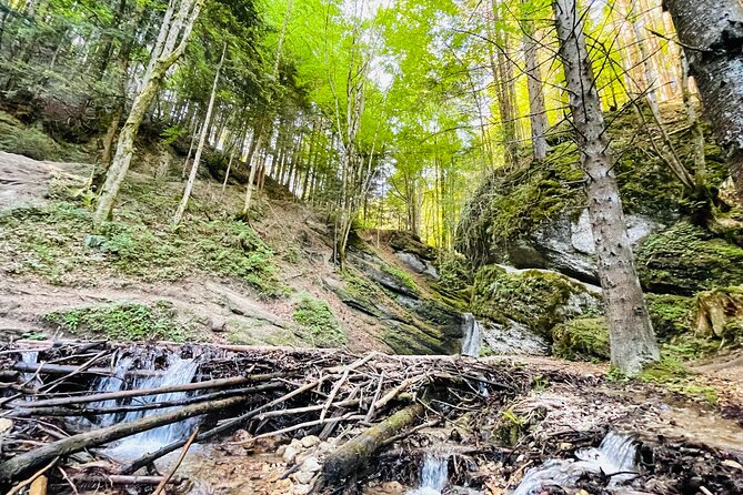 Small-Group Castle, Canyon and Sparkling Wine Day Trip From Brasov - The Sum Up