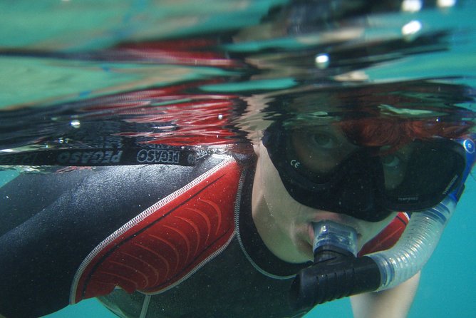 Snorkeling Tour Makarska Riviera, Islands of Hvar or Brač - Traveler Experiences and Highlights