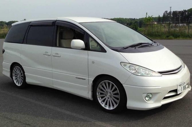 Tbilisi Private Arrival Airport Transfer - Service Details