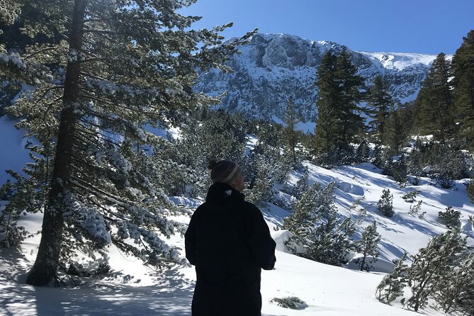 The Best of Bansko: Magical Snowshoeing Adventure & SPA - Pricing and Booking