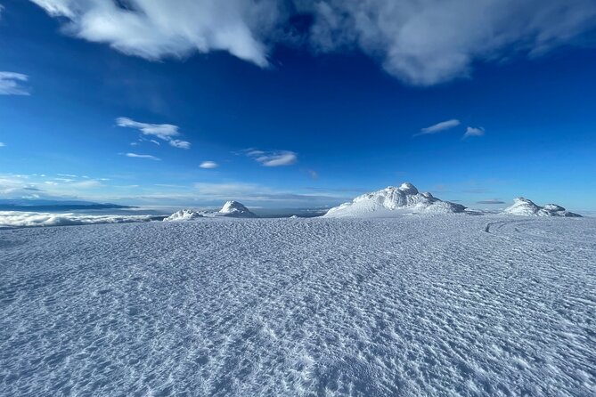 The Best of Sofia: Magical Snowshoeing Adventure in Vitosha & SPA - Meeting and Pickup Information