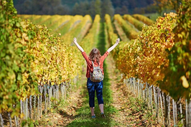 The Grand Wine Tour With Sommelier – 2 Wineries With Chianti & Supertuscan - Cancellation Policy