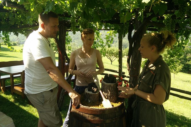 Truffle and Wine / Taste of Istria From POREC, ROVINJ, PULA - Pricing and Availability