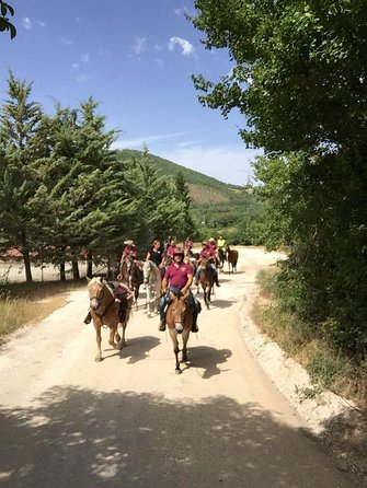 Umbria, Horseback Riding in the Umbrian Countryside With Lunch - Frequently Asked Questions