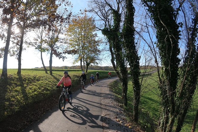 Wine Cycling Tour by E-Bike - Booking Information