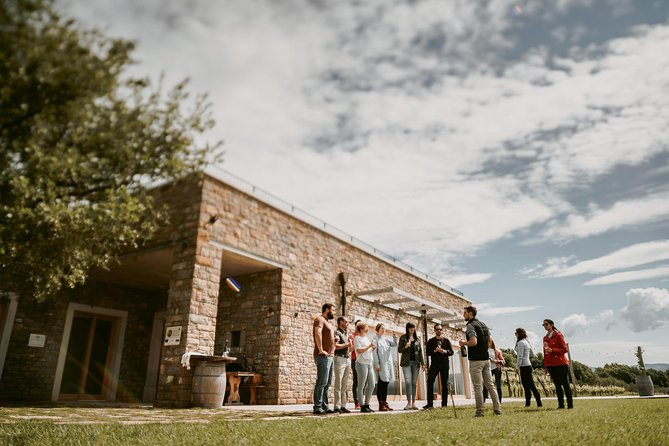 Wine Tours in Slovenia - Cancellation Policy