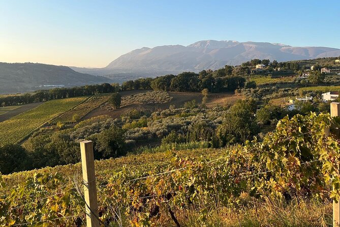 Winery Tour and Tasting in Abruzzo - Customer Reviews