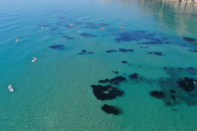 WWF Kayak Tour From Cala Manbrù to Torre Salsa Reserve - Frequently Asked Questions