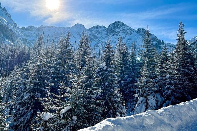 Zakopane Tour From Krakow With Thermal SPA and Hotel Pick up - Location and Operator