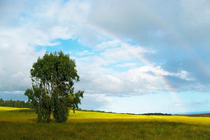 6-Day Private Easter Island Archaeology and Hiking Adventure - Tour Overview