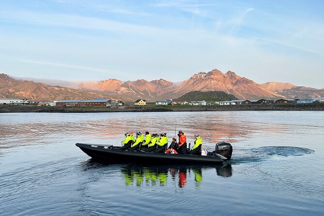 1 Hour Iceland Nature and Wildlife RIB Small Group Guided Safari - Tour Schedule