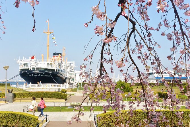 1 Hour Private Photoshoot in Yokohama - Medical Treatment and Shipping