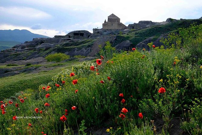 6-Day Tour to Georgia From Tbilisi. Cultural Heritage - Wine Tasting Experience