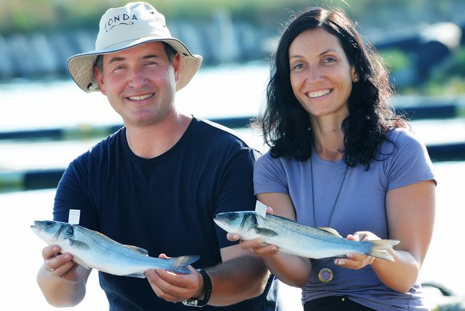 An Unforgettable Day With Fish, Wine and Olive Oil Tasting - Tour Details