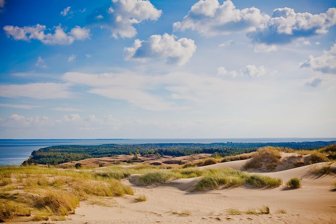 Best of Klaipeda & Curonian Spit Join-in Shore Excursion - Booking and Cancellation Policy