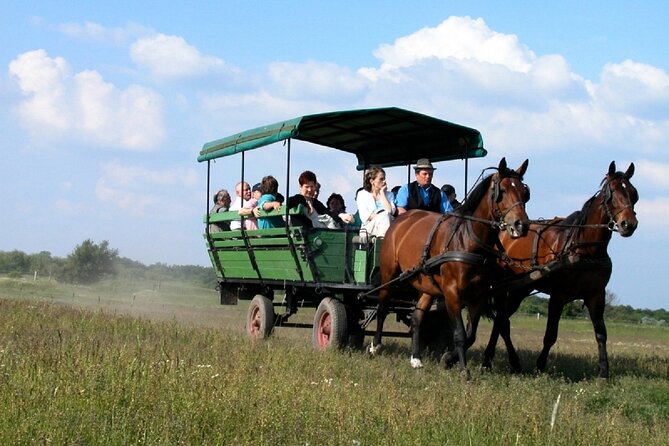 Budapest Puszta Day Trip to Kecskemet Icluding Horse Show & Lunch - Cancellation Policy