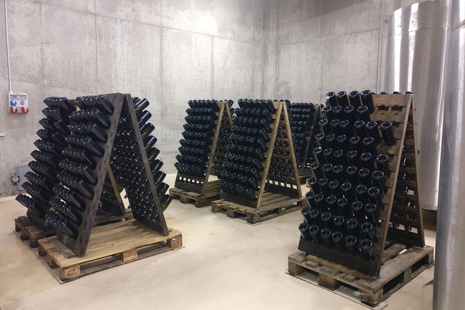 Day Trip From Bratislava: Winery Tour With Wine Tasting in the Countryside - Transportation and Logistics