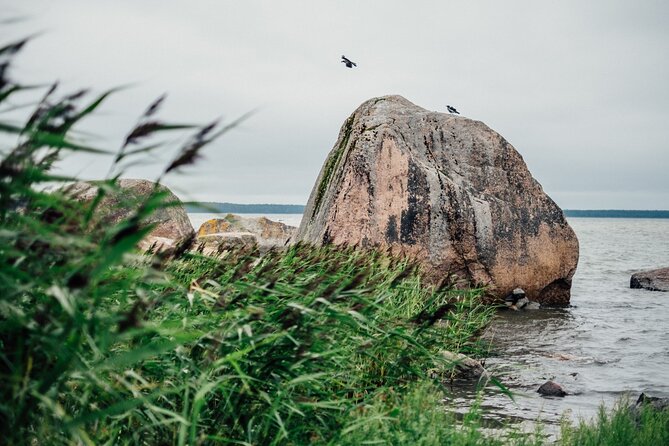Day Trip to Land of Bays, the Romantic North-Coast From Tallinn - Frequently Asked Questions