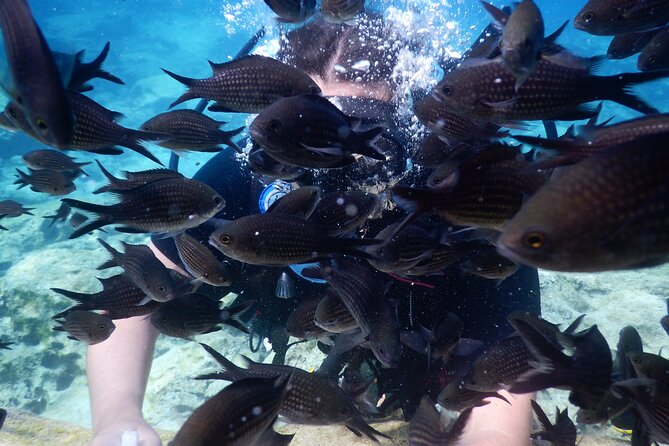 Discover Scuba Diving - Cancellation Policy