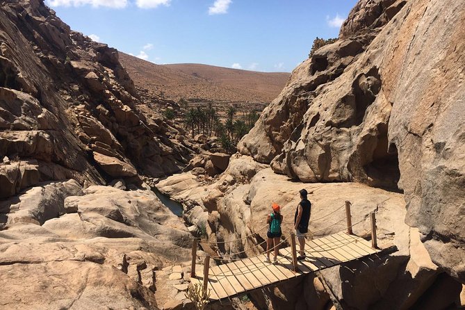 Discover the Real Fuerteventura: Extraordinary Paths Surrounded by Nature - The Sum Up