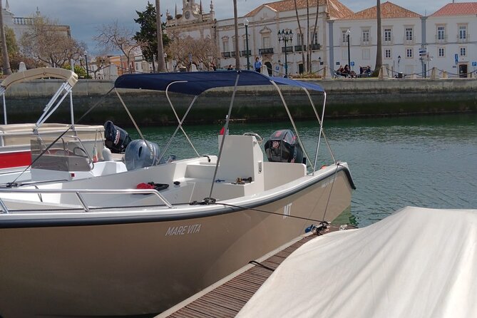 Dolphin Watching and Wildlife From Faro - Frequently Asked Questions