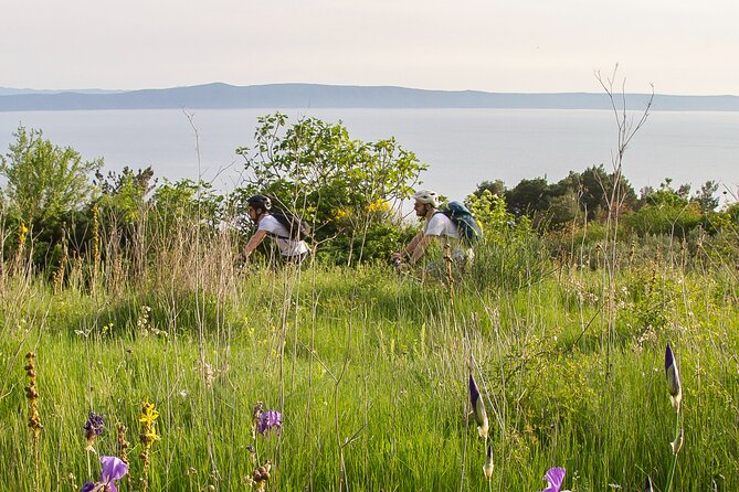 E-Bike Tour at Historical Villages of Makarska - Price Details and Guarantee