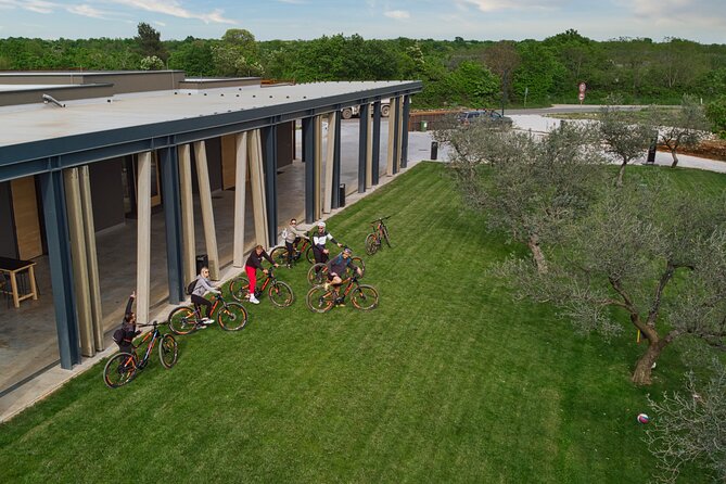 E Bike Tour With Wine and Olive Oil Tasting in Vodnjan - Cancellation Policy