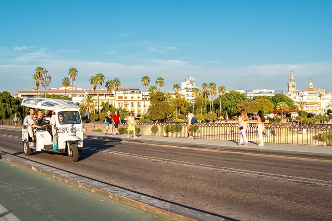 Expert Tour of Seville in Private Eco Tuk Tuk - Activity Information