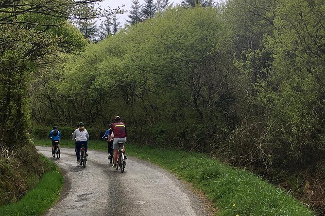 Explore North Cornwall on Electric Bikes - Group Size Limitations