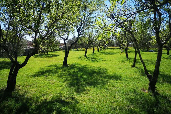 Family-run Vineyard Tour & Award Winning Wine Tasting/Delicacies - Frequently Asked Questions