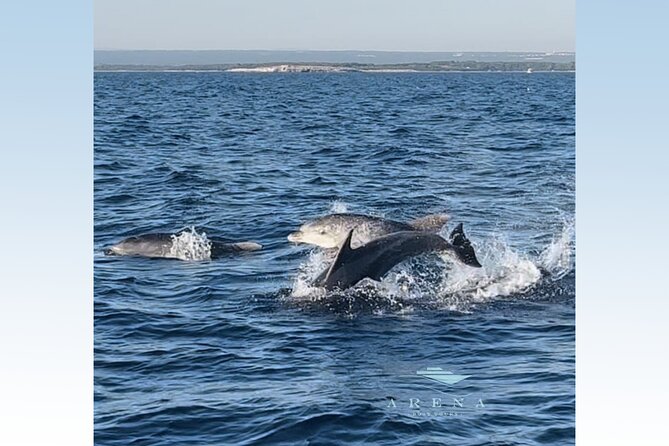 Fantastic DOLPHIN & SUNSET TOUR With Dinner (Pula - NP Brijuni) - Important Details