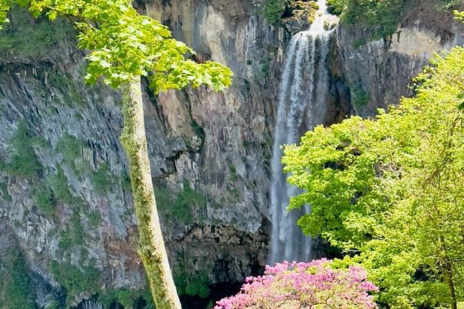 Full-Day Private Nikko Tour in Tokyo With English Speaking Driver - Frequently Asked Questions