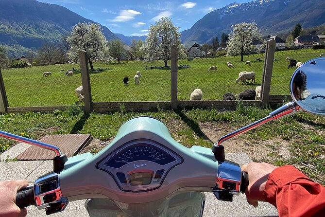 Full Day Scooter Rental in Slovenia - Operator Information